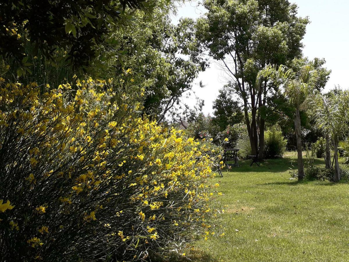 Casetta Vacanza In Campagna Aradeo Eksteriør billede
